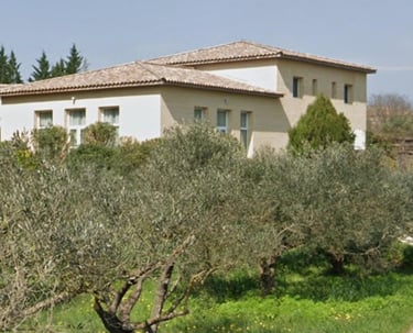 a horse is grazing in the grass near a house
