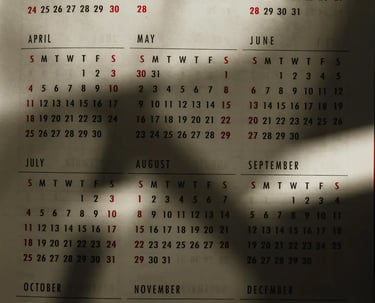 A wall calendar showing all twelve months with plant shadows cast across the page.