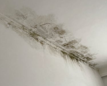 a man riding a skateboard down the side of a ramp