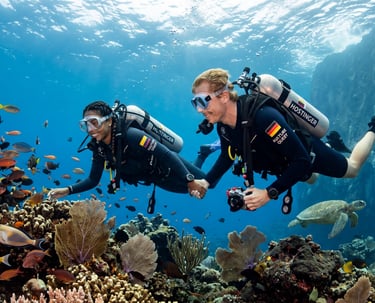 Two scuba divers holding hands swim past a colorful coral reef with tropical fish and a sea turtle.