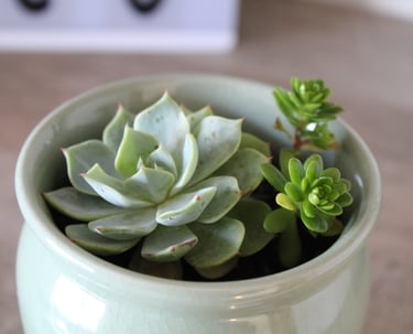 Consulta particular espacio