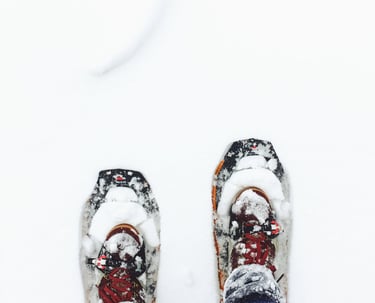 Schneeschuhwanderung in Seefeld
