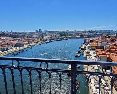 Panoramic view of the Douro River and riverbanks from a bridge, capturing the city and scenic waterw