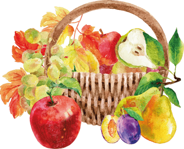 Ein Obstkorb mit Äpfel, Birnen, Zwetschken und Trauben