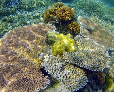 Balabac Island Philippines