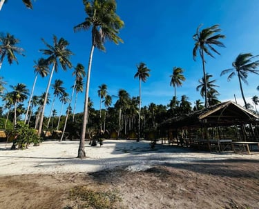 3D2N hut accommodation Linapacan private island