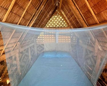 3D2N hut accommodation Linapacan private island