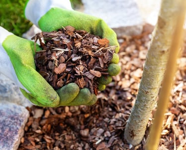 a person holding a handful of mulch in their hands