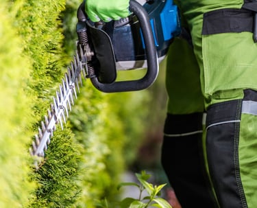 a man in a green jacket and a green jacket