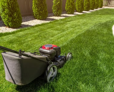 a lawn mowering with a lawn mowering