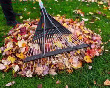 a raket with a raket and a raket on the ground