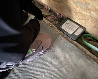 dératisation commerce a Nice