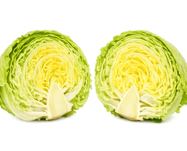 Lechuga