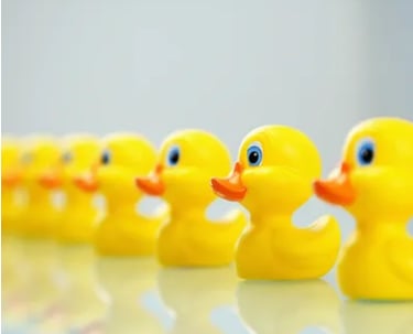 Yellow rubber ducks in orderly row representing workflow organisation