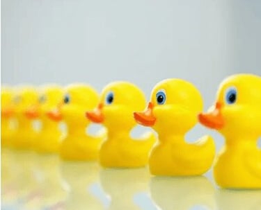 Yellow rubber ducks in orderly row representing workflow organisation