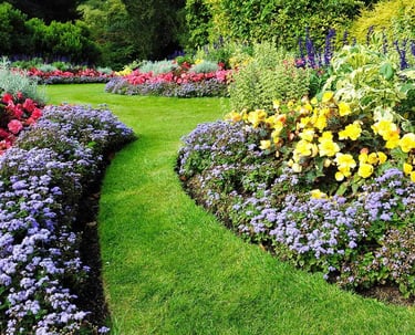 flowers, plants garden beds