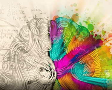 cartoon image of the logical left brain and creative right brain.