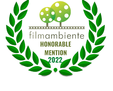 a film reel reel reel reel reel reel reel reel reel reel reel reel reel reel