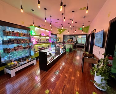 Interior of Orlando Downtown Flower Girl Greenhouse dispensary, a local dispensary near me option in Florida