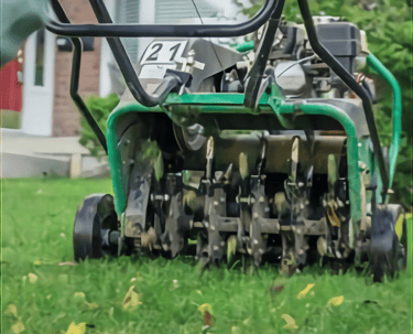 spring yard prep