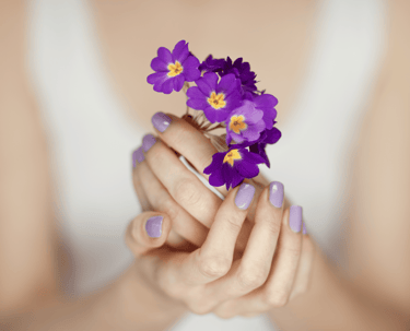 Woman's hands holding purple flowers