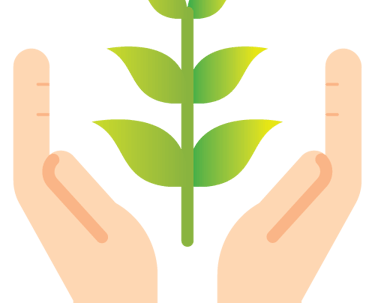 Stylish and Trendy Designs