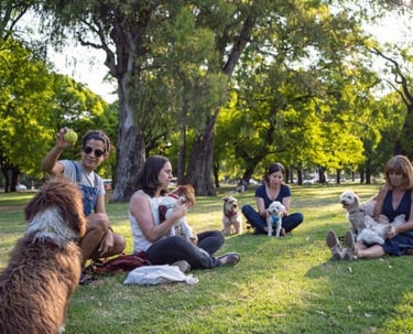 Un grupo de mujeres se relajan en un parque soleado con sus pequeños perros en el pasto