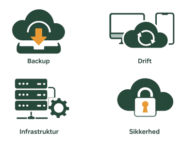 Backup af virksomhedsdata