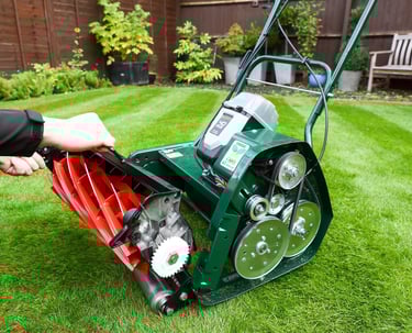 Pievos, žolės, vejos pjovimas