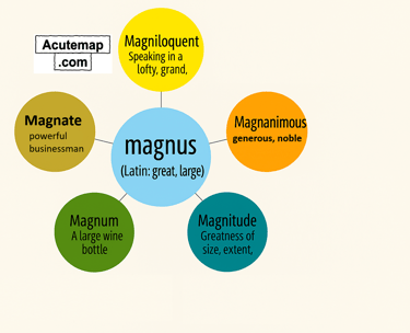 Magnus root word chart for SSC UPSC vocabulary from Word Power Made Easy