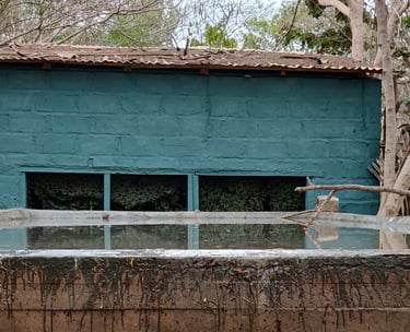 "Bird hide with drinking pool in Gambia, perfect spot for bird photography and birdwatching tours in