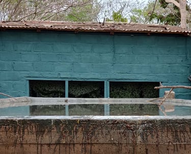 Vogelobservatiehut met drinkplaats in Gambia, ideale locatie voor vogelfotografie en birdwatching to