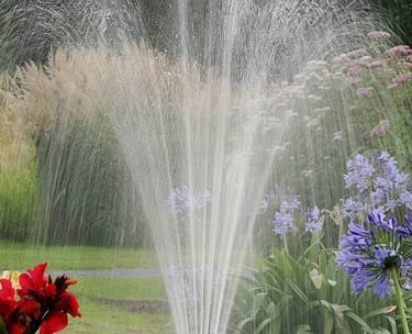 L'arrosage au jardin