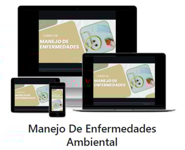 curso de enfermedades ambientales