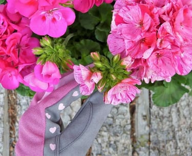 Entretien des fleurs