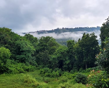 mountain view at Green Acres Homestay