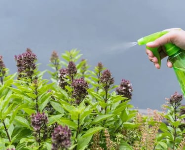 Pesticides naturels