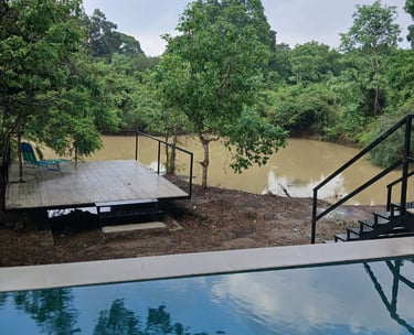 pool overlooking the border of Yala National Park