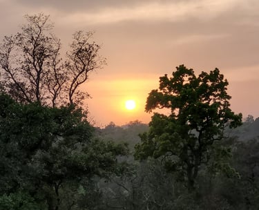 sunset at Green Acres Homestay