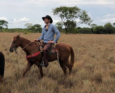Vichada, Colombia. Terra Forest