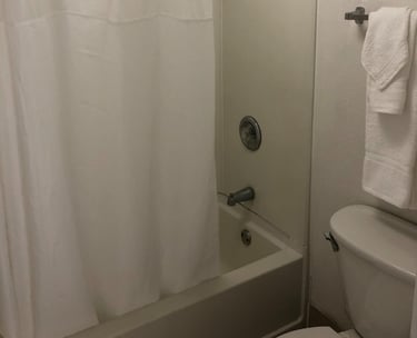 a bathroom with a shower and a toilet