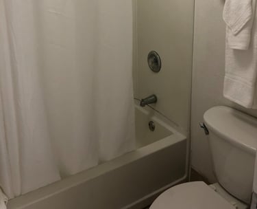 a bathroom with a shower and a toilet