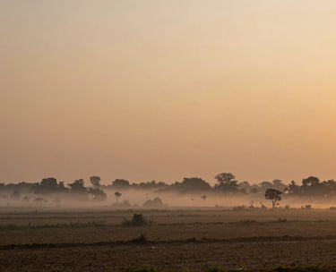 A wide-angle landscape shot of the countryside in Viluppuram at dawn, with a soft mist over the fields and the sky turning a gentle amber and soft orange gold.