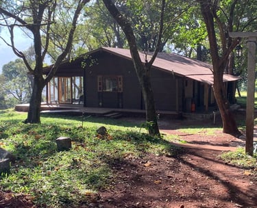 Wooden cottage on a mountain in Chikmagalur
