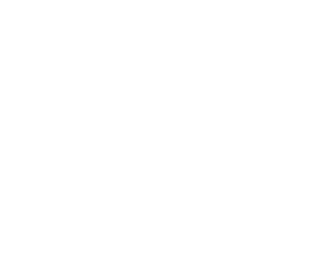 solid ground collective