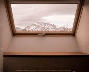 Vue de la chambre mésange de la Ferme du Veyre
