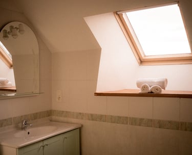 Salle de bain de la chambre Pinson de la Ferme du Veyre