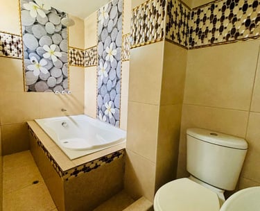 BAÑO COMPLETO CON TINA