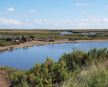 Murrys Pond on the Marsh