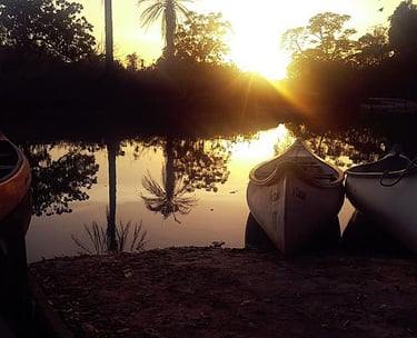 Marakissa River Camp birdwatching and wetland nature Gambia
